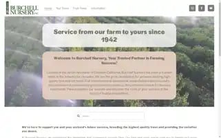 Burchellnursery.com Screenshot 2024-07-04 08:44:14