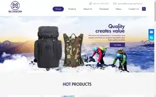 Blossomgrouplimited.com Screenshot 2024-05-08 19:53:56