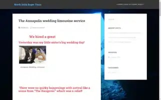 Northindiabugettours.com Screenshot 2024-04-22 11:42:01