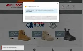 Boc.co.nz Screenshot 2024-06-30 10:55:28