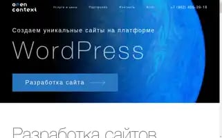 Open-context.ru Screenshot 2024-06-16 07:15:42