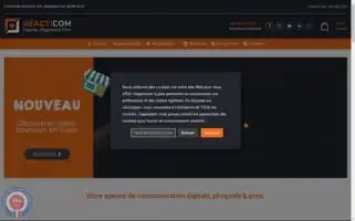 Reacticom.com Screenshot 2024-06-26 02:09:31