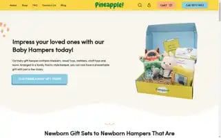 Pineapple.sg Screenshot 2024-04-27 14:09:57