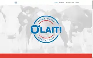 Olait.fr Screenshot 2024-07-04 03:47:14