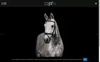 Grafixs.ch Screenshot 2024-06-18 09:39:25