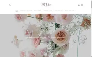 Iris16c.com Screenshot 2024-04-27 08:45:47