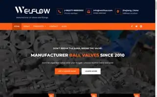 Welflow.com Screenshot 2024-06-18 21:24:12