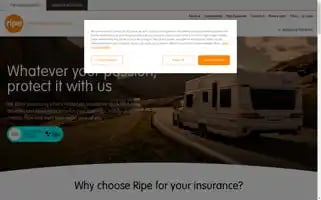 Ripeinsurance.co.uk Screenshot 2024-07-05 14:40:08