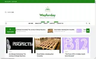 Wayforday.com Screenshot 2024-05-17 06:42:43