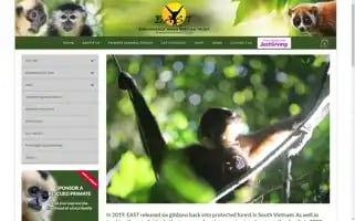 Go-east.org Screenshot 2024-07-01 18:29:29