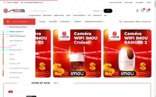 Aeg-distributions.com Screenshot 2024-05-19 19:11:48