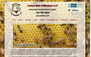 Bollbees.com Screenshot 2024-05-08 20:31:07