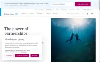 Endress.com Screenshot 2024-06-17 02:04:30
