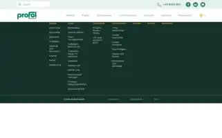 Profol.com Screenshot 2024-06-29 20:13:45