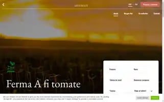 Afitomate.ro Screenshot 2024-06-26 01:27:59