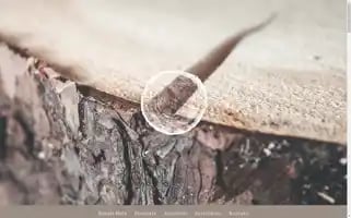 Erhart-holz.at Screenshot 2024-07-03 11:16:40