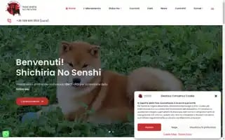 Allevamento-shibainu.it Screenshot 2024-05-23 20:23:16
