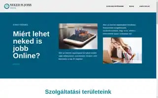 Nekedisjobb.online Screenshot 2024-06-18 03:35:12