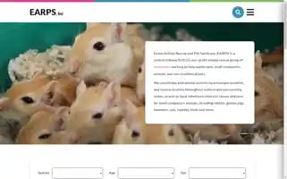 Earps.org Screenshot 2024-06-12 13:20:45