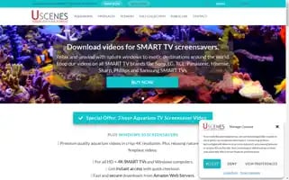 Uscenes.com Screenshot 2024-05-14 19:29:43