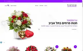 Topzer-tlv.co.il Screenshot 2024-06-14 21:31:06
