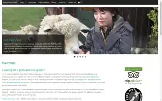 Cannewzealandtours.co.nz Screenshot 2024-04-19 10:19:20