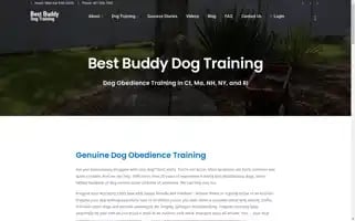 Bestbuddydogtraining.com Screenshot 2024-05-15 14:11:41