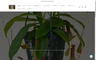 Joecarnivoreplants.com Screenshot 2024-04-27 15:03:03
