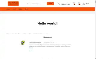 Zprogadgets.com Screenshot 2024-06-17 03:24:34