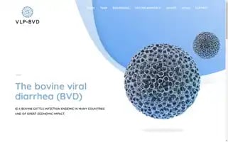 Vlp-bvd.com Screenshot 2024-06-11 08:28:04