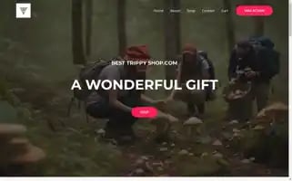 Besttrippyshop.com Screenshot 2024-04-26 23:35:55