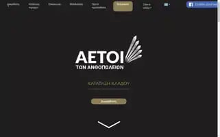 Aetoitonanthopolion.eu Screenshot 2024-07-09 22:43:20