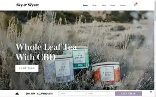 Skywyatthemp.com Screenshot 2024-05-22 19:56:25
