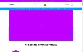 Somnus.website Screenshot 2024-06-25 01:05:58