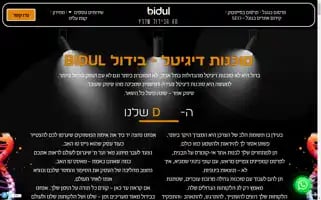 Bidul.co.il Screenshot 2024-06-27 20:27:13
