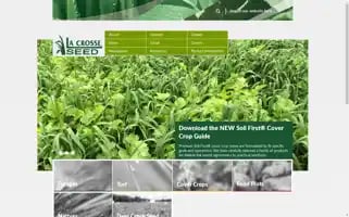 Lacrosseseed.com Screenshot 2024-07-02 03:49:54